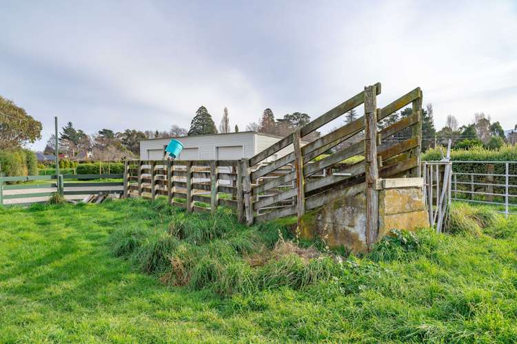 3236 State Highway 2 Carterton_21