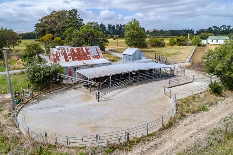 631 Opaki Kaiparoro Road Kopuaranga_12