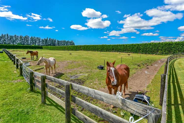 288 Bells Road West Melton_19