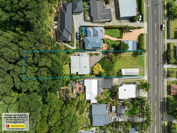 244 Pohutukawa Avenue_0