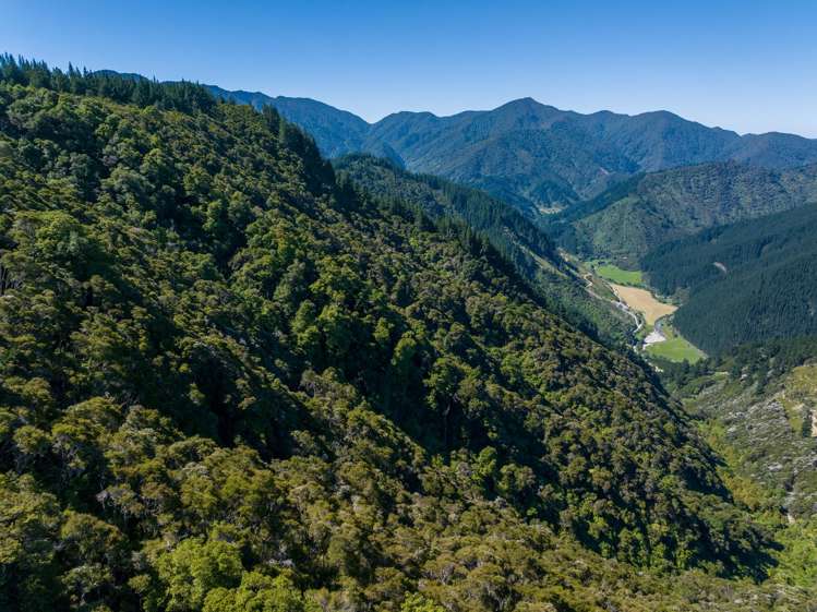 785 Waikakaho Road Tuamarina_39