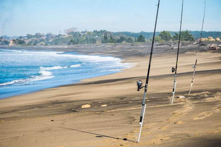 Tangoio Beach Sections Bay View_8