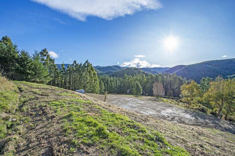 255 Glentui Bush Road Glentui_0