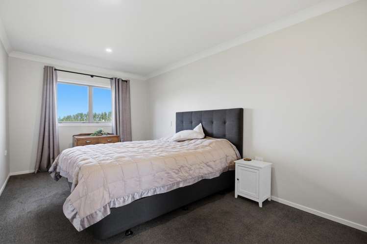 1961 Te Matai Road_5