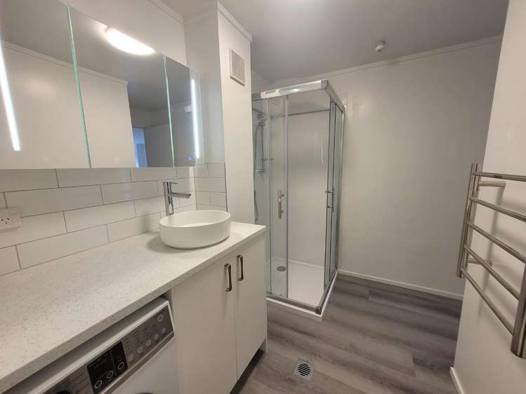 2/12 Nikau Street 10021_5