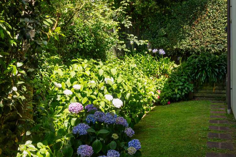 167a Long Drive Saint Heliers_26