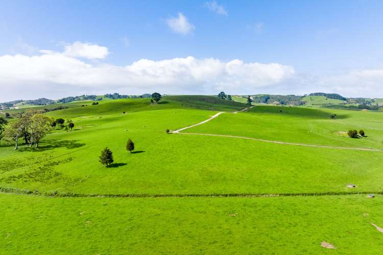 2682 State Highway 1 Brynderwyn_15