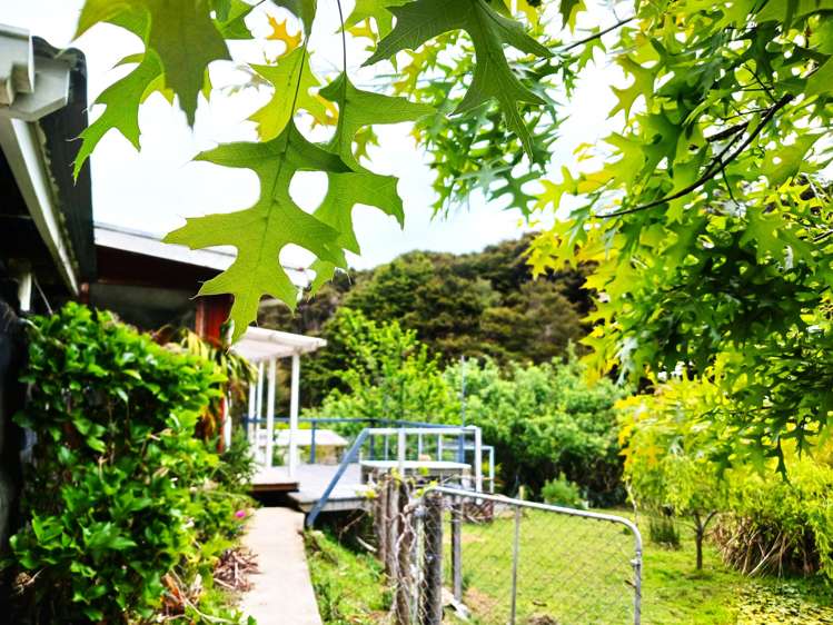 390 Paranui-Toatoa Road Taipa_10