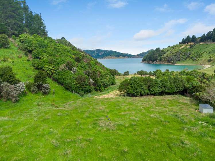 Kakapo Bay Port Underwood_10