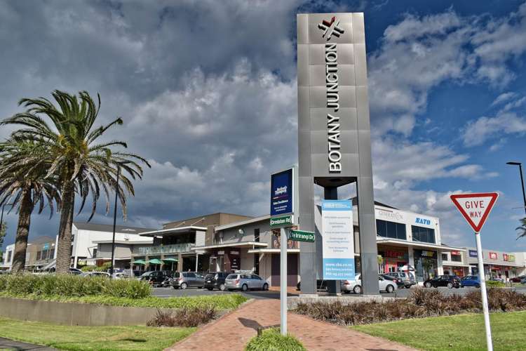 20 Goodfellow Lane Flat Bush_10