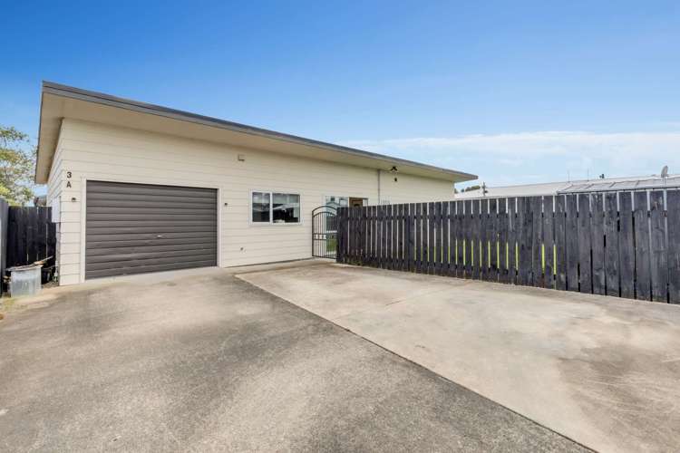 3a Seaforth Avenue Milson_1