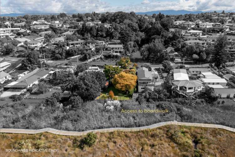 77 Churchill Road Judea_30