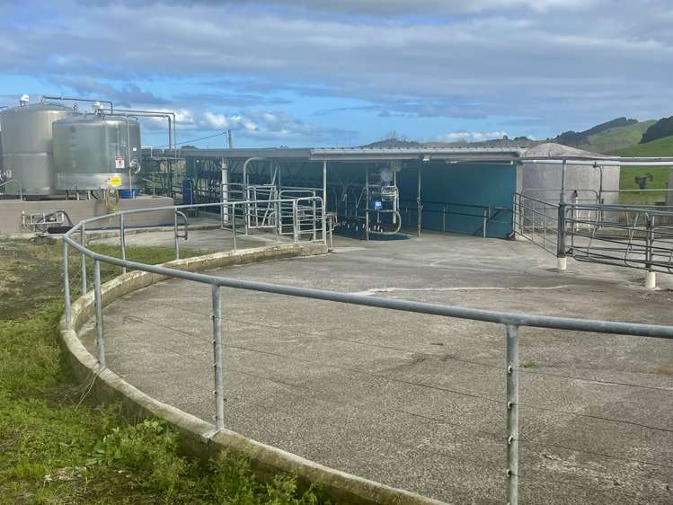 1557 Waihue Road Dargaville Surrounds_10