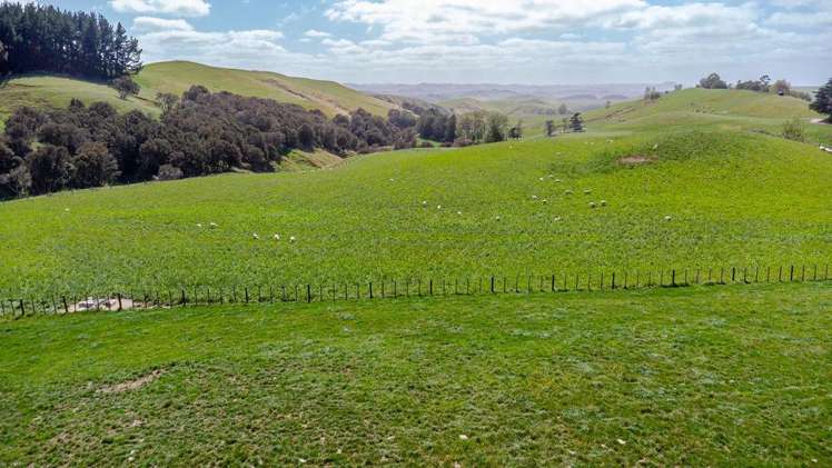 205 Ngawaka Road Flemington_23