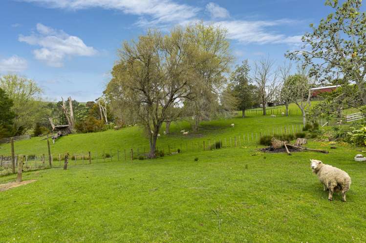 1187 Peak Road Helensville_21