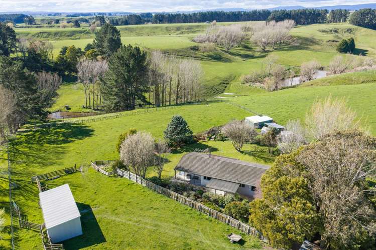 879 Reid Line East Bunnythorpe_20