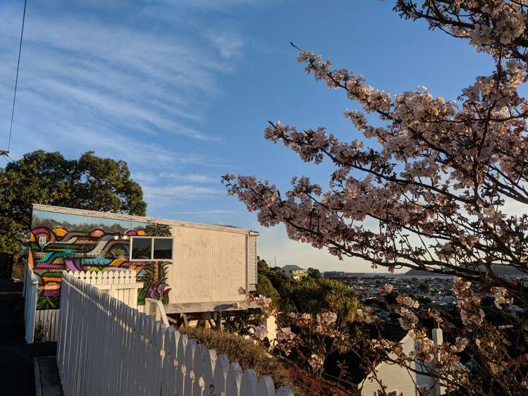 40 Townsend Road Miramar_15