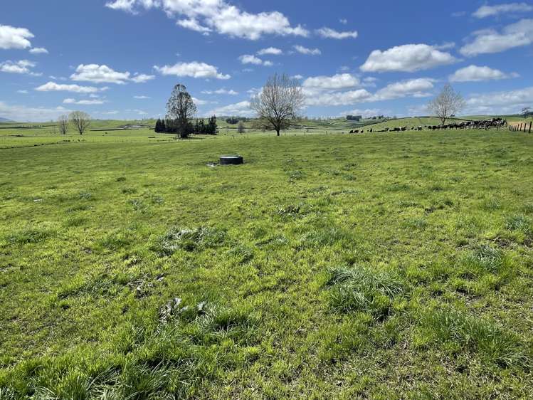 27 Mcrae Road Otorohanga_16