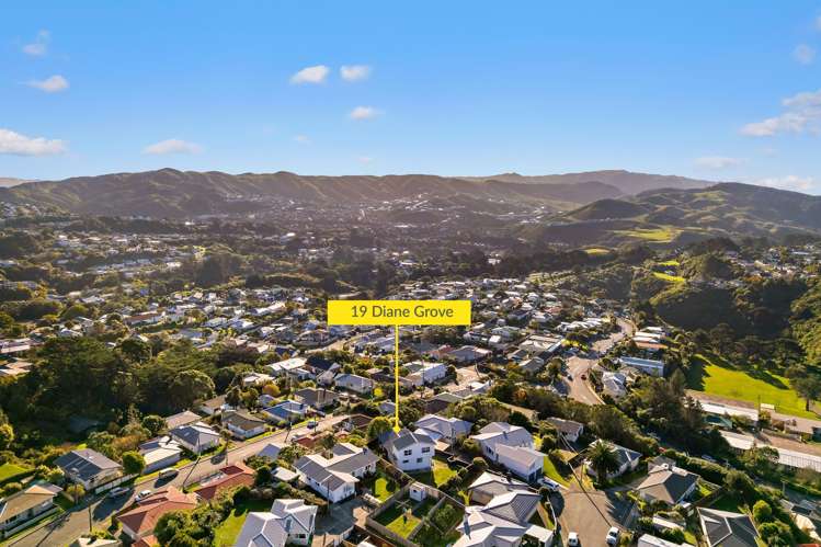 19 Diane Grove Paparangi_14