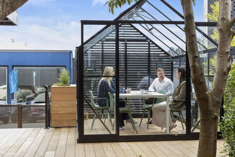 7 Rose Road Grey Lynn_1