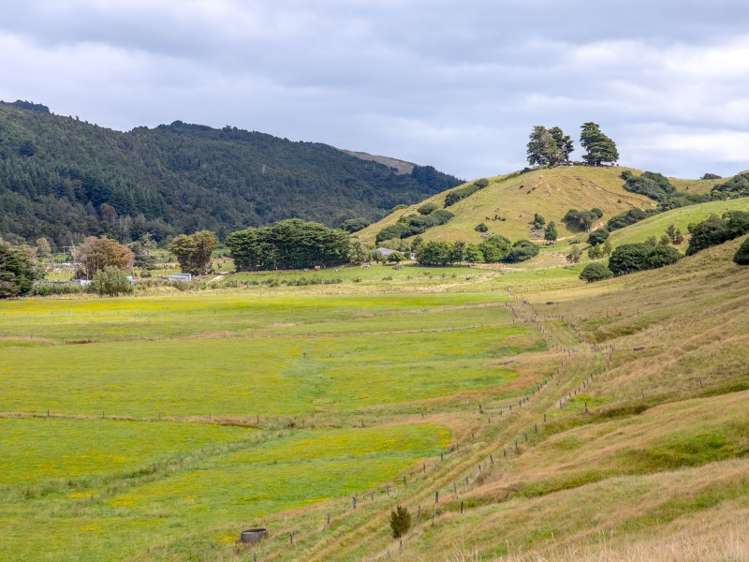 85274 State Highway 2 Eketahuna_9