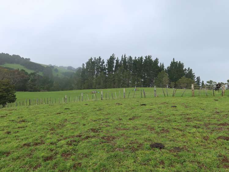 37 Donnellys Station Road Dargaville_6