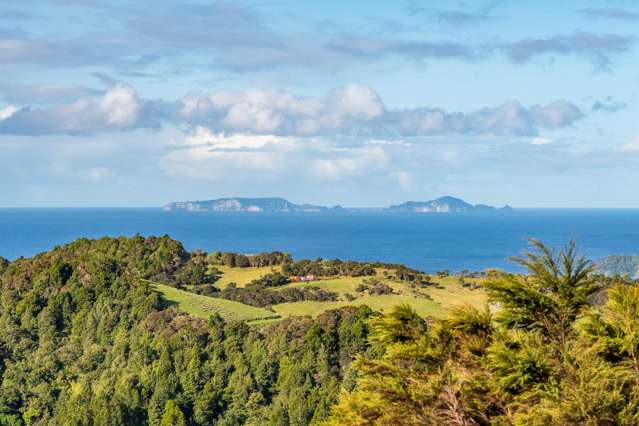 1738 Matapouri Road Matapouri_1