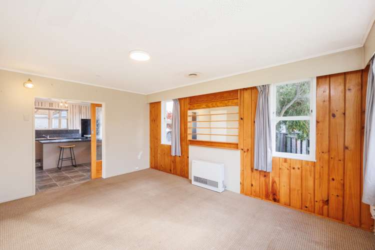 6 Hodgetts Place Ashhurst_6