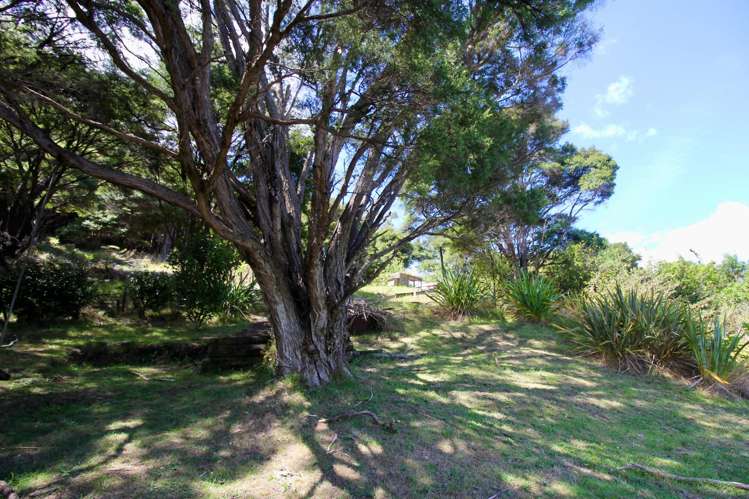 6 Pohutukawa Grove Whitianga_16