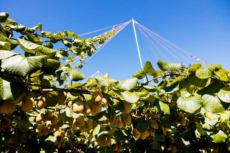 881b Te Matai Road Te Ranga_18