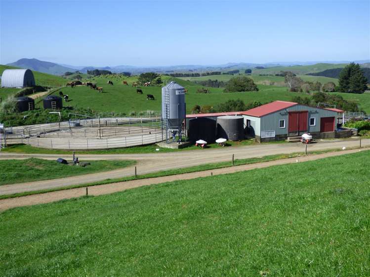 546 Ngutunui Road Otorohanga_15