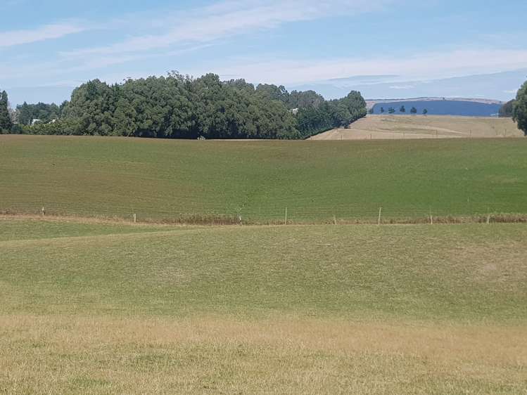 293 Freezing Works Road Balclutha_13