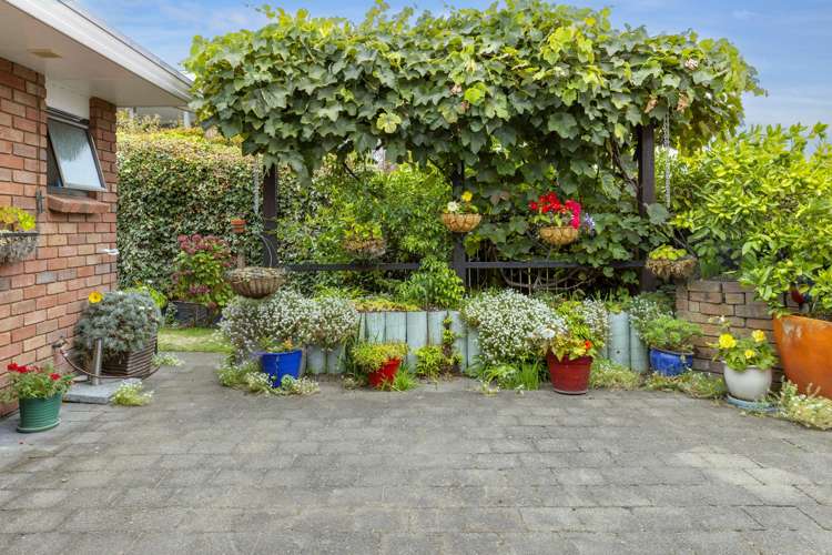 67 Ngamotu Road Hilltop_3