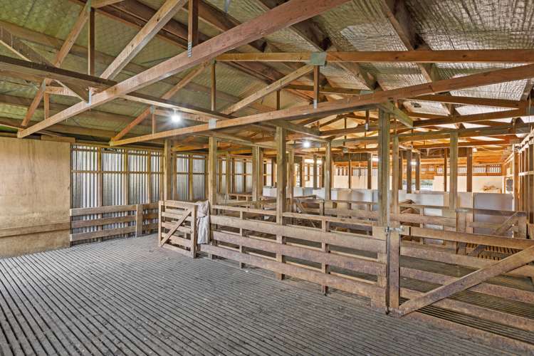 Mangatea Road Te Kuiti_16