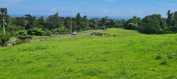 Upper Weld Road Tataraimaka_7