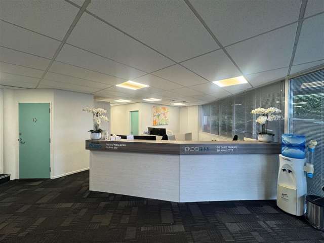 3 Ely Avenue Remuera_1