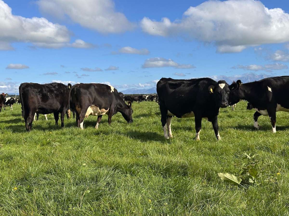 357 Woodstock Road_3