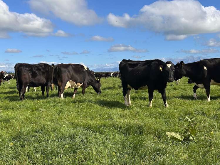 357 Woodstock Road Oxford_7