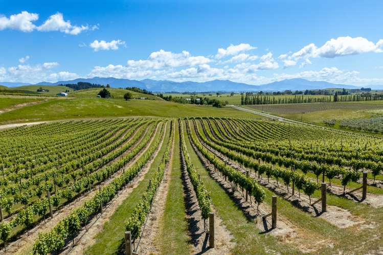 175 Wrekin Road Fairhall_5