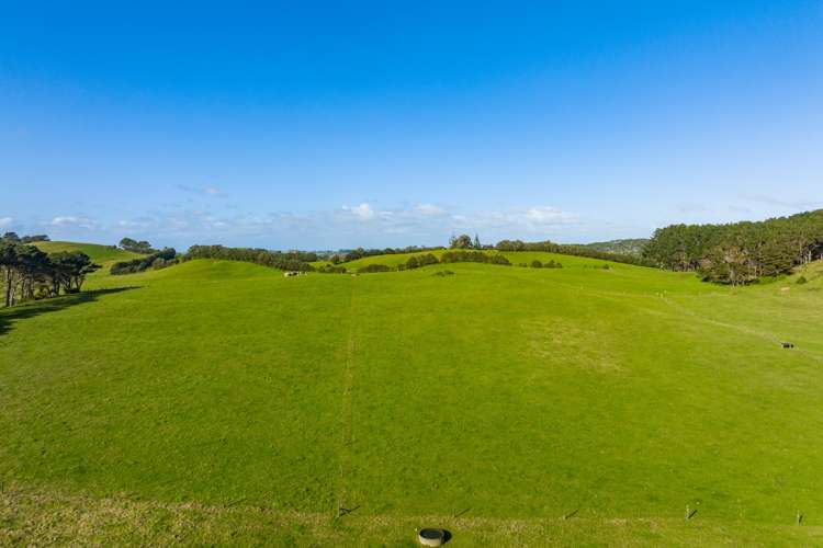 386 Rehutai Road Dargaville Surrounds_2
