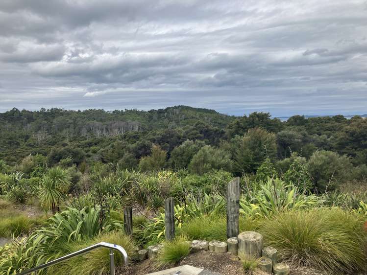 2/19 Ringi Lane Orewa_30