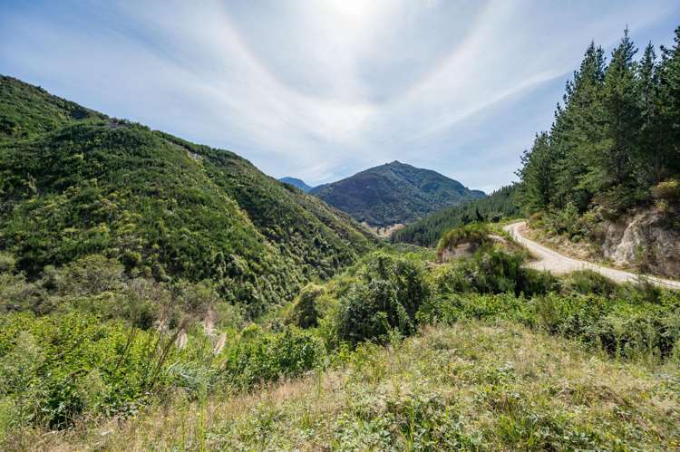 297 Graham Valley Road Motueka Valley_25