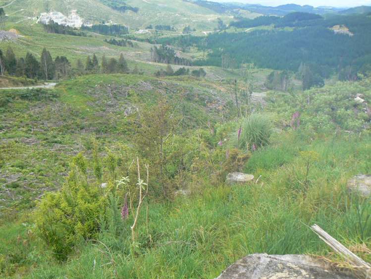 Lot 65 Stoney Creek Road Mangamuka_5