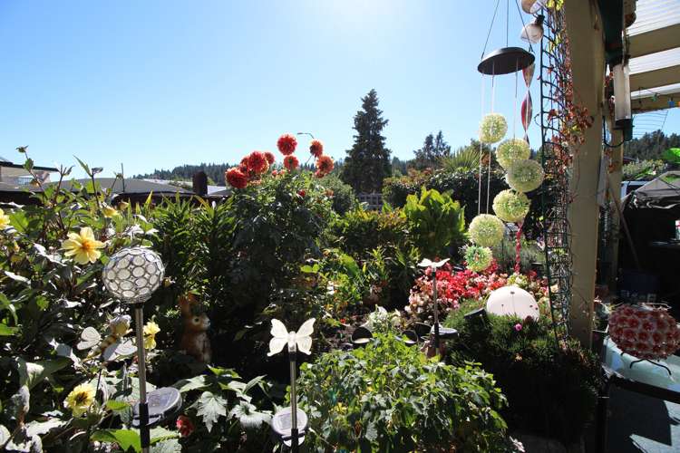 5 Arnott Street Alexandra_20