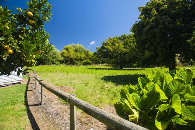 638 Waingake Road Muriwai_4