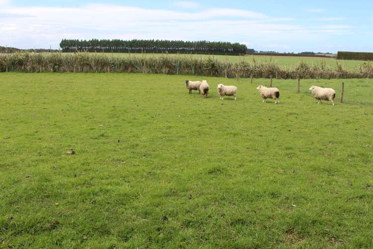 159 Hanning Road Winton Surrounds_11