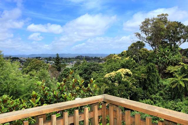 9 Barrington Road Grey Lynn_3