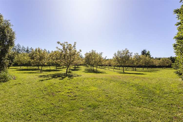 407 Halkett Road West Melton_21