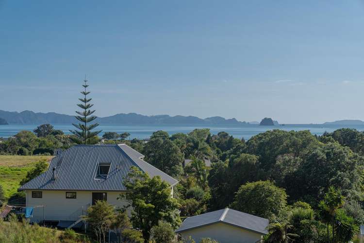 23 Ara Mata Cooks Beach_8