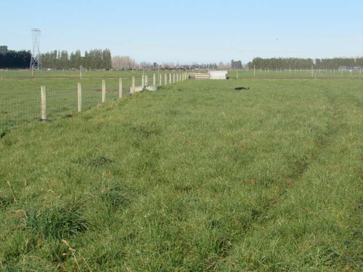 362 Ashburton Staveley Road Greenstreet_11